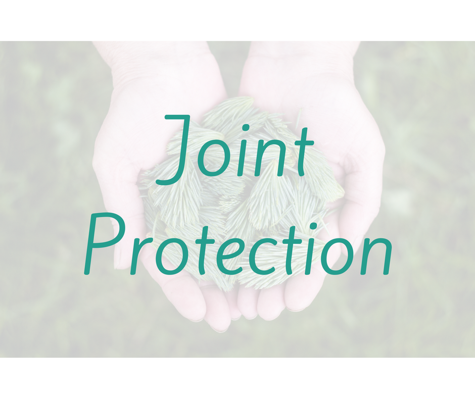 Introduction to Joint Protection